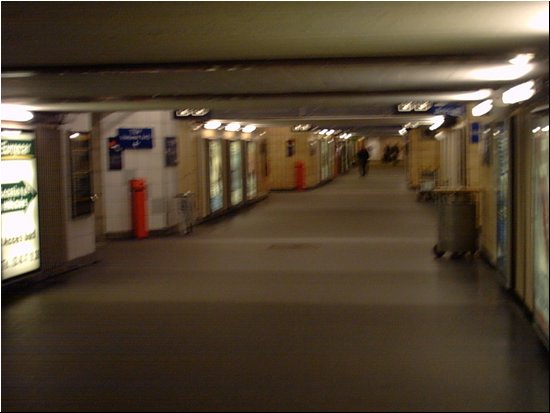 IMG00006.JPG