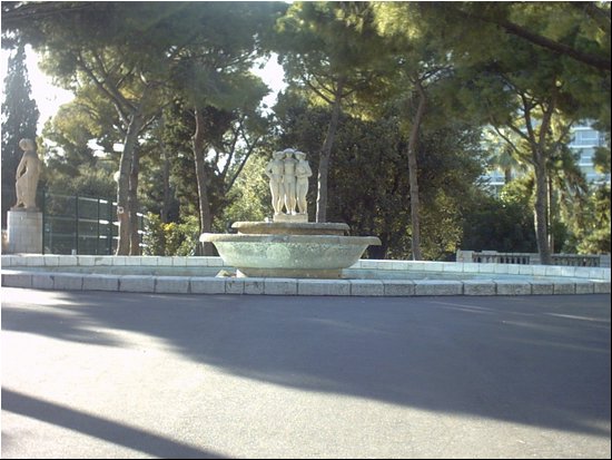 IMG00046.JPG