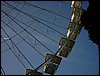 IMG00040.JPG
